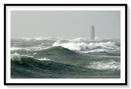 Baleineaux. 3 
