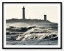  Les Baleines 1
