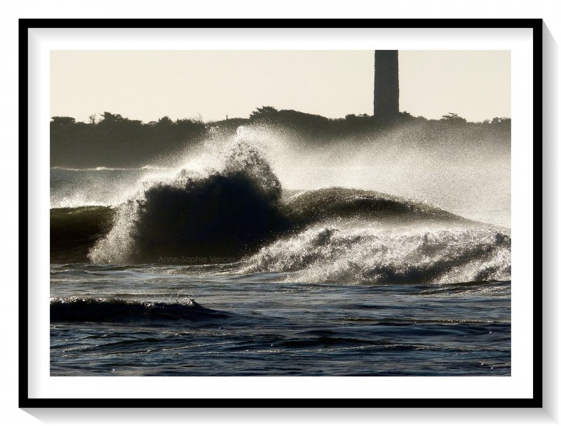 Les Baleines. 2
