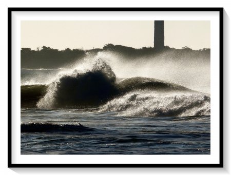 Les Baleines. 2