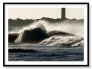 Les Baleines. 2
