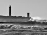 Les Baleines. 3